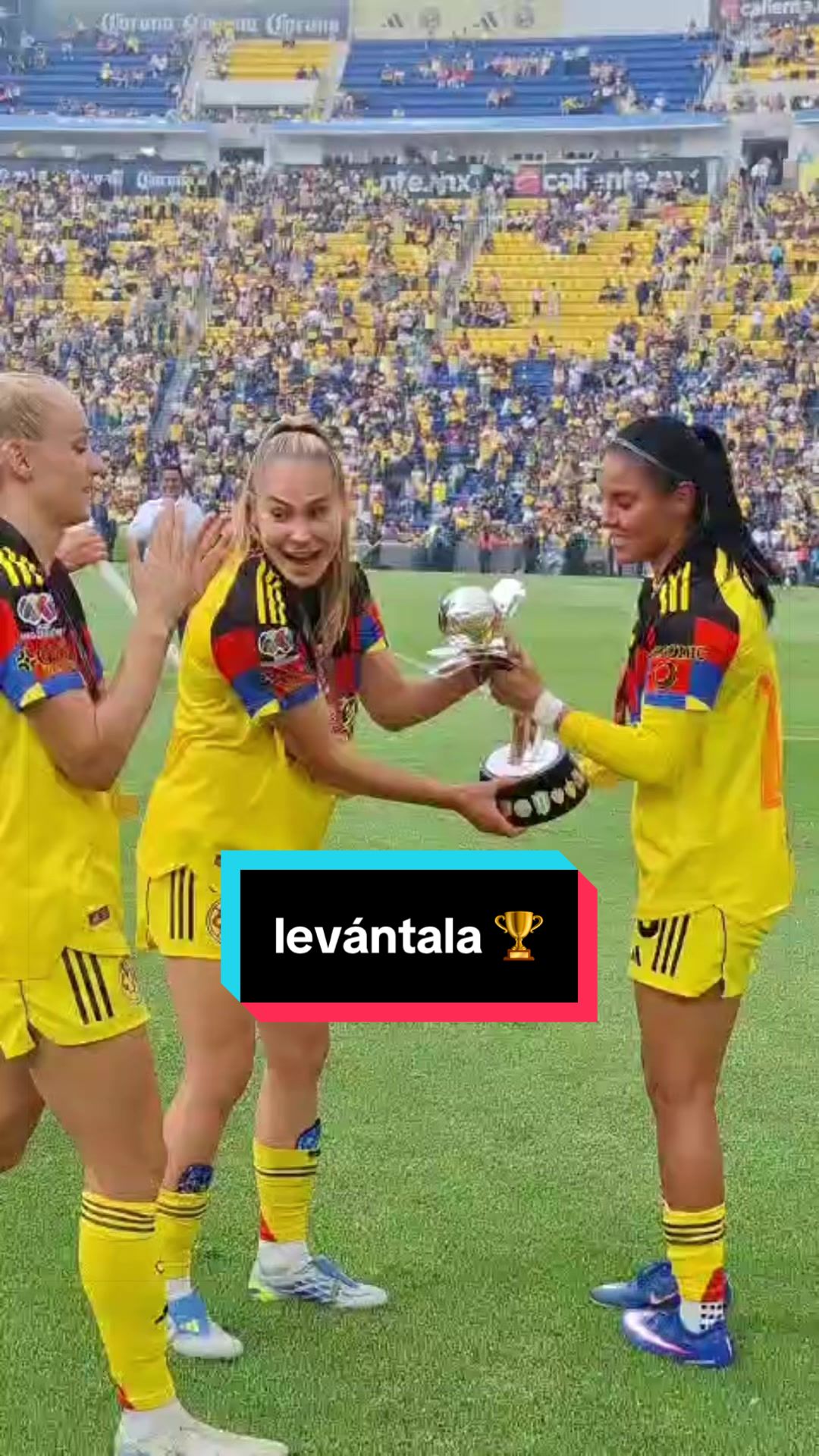 @Linaje Águila ®