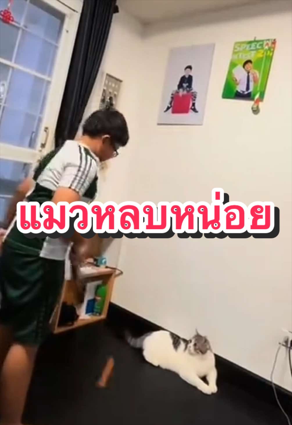 @เฟิร์นไปทั่ว