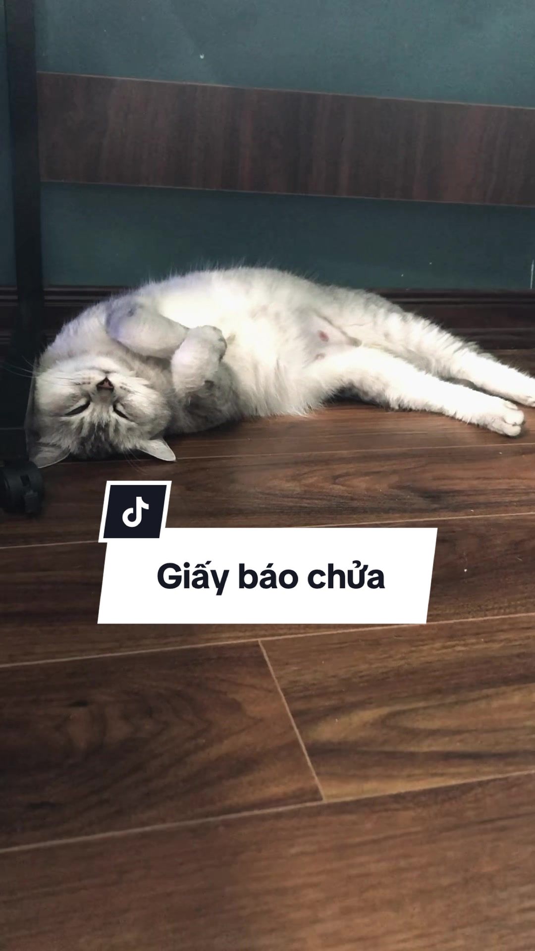 @Ốc Và Con