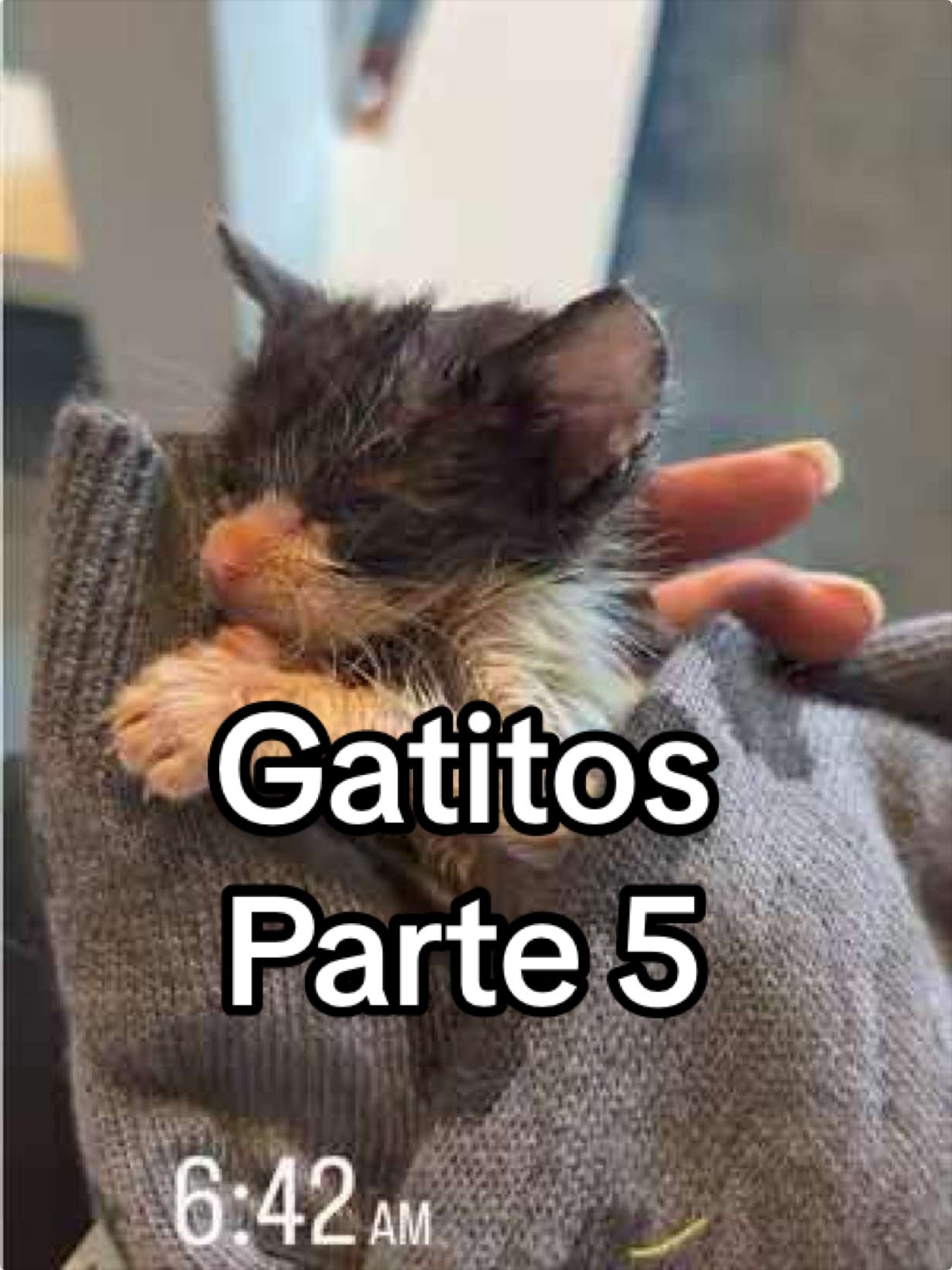 @Cecy Gonzalez