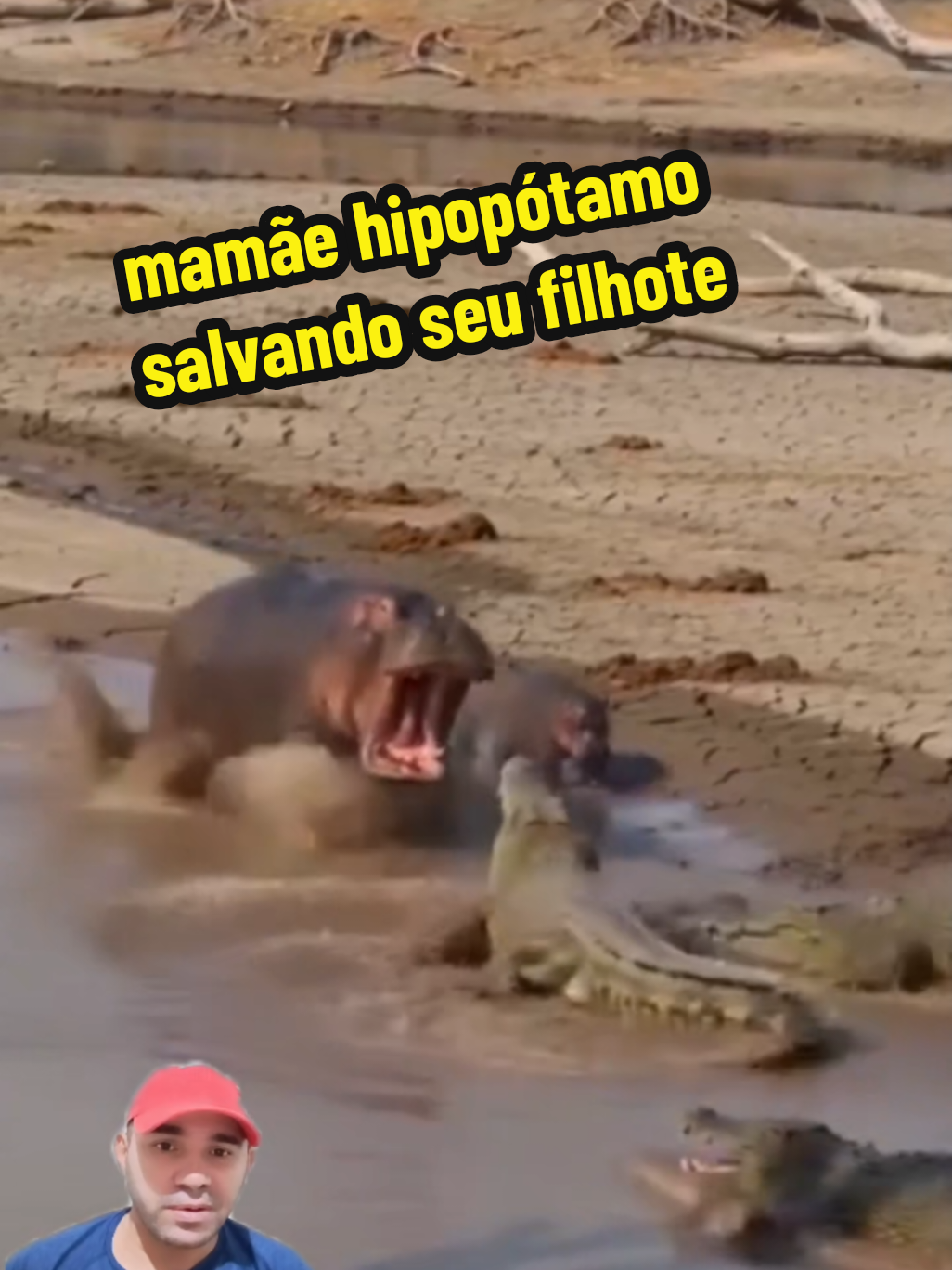 @GOROROBA 2026