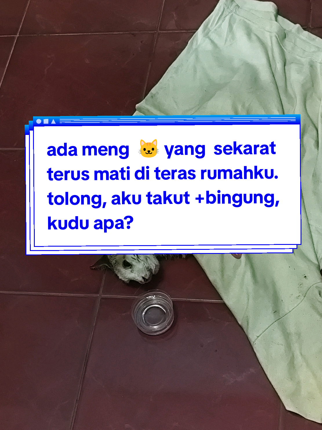 @rouli hutahaean ๐ฆ๐ฉ