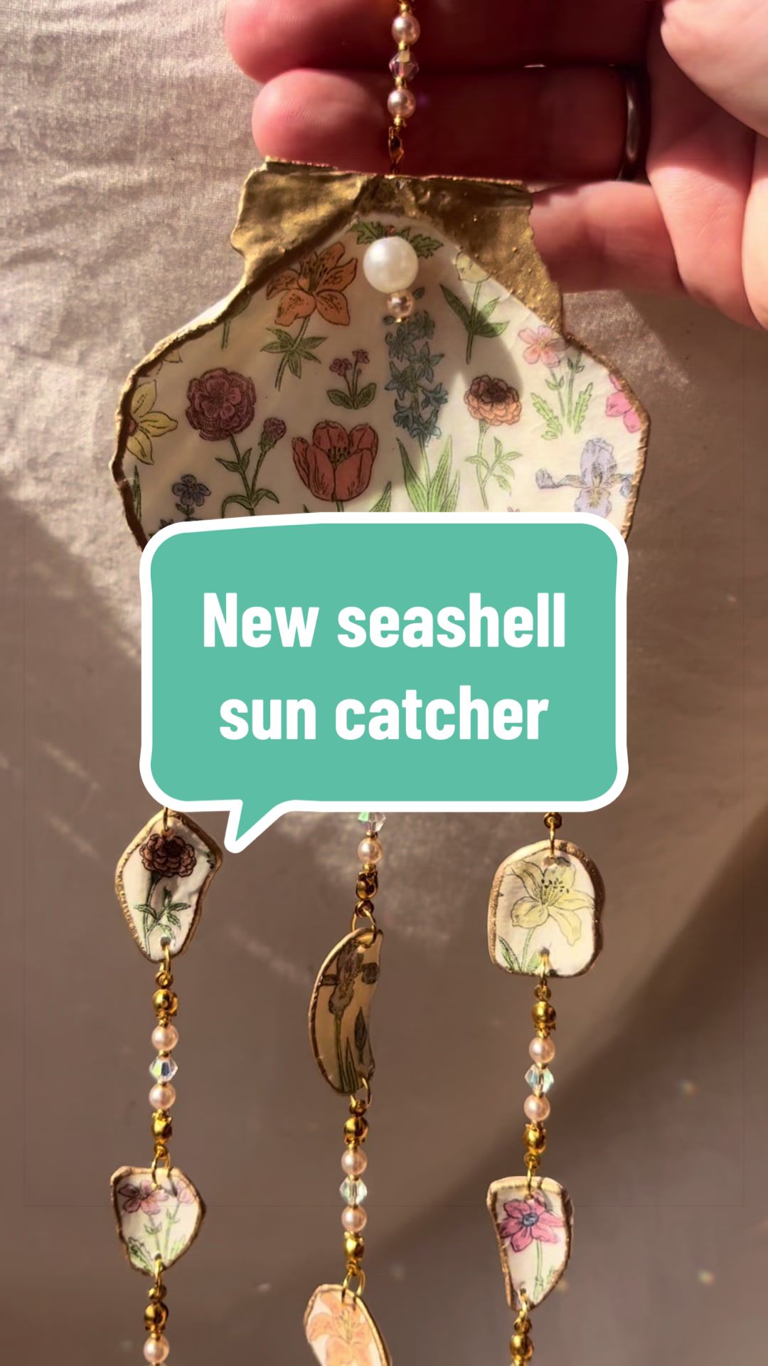 @Dusty J Designs | Shells