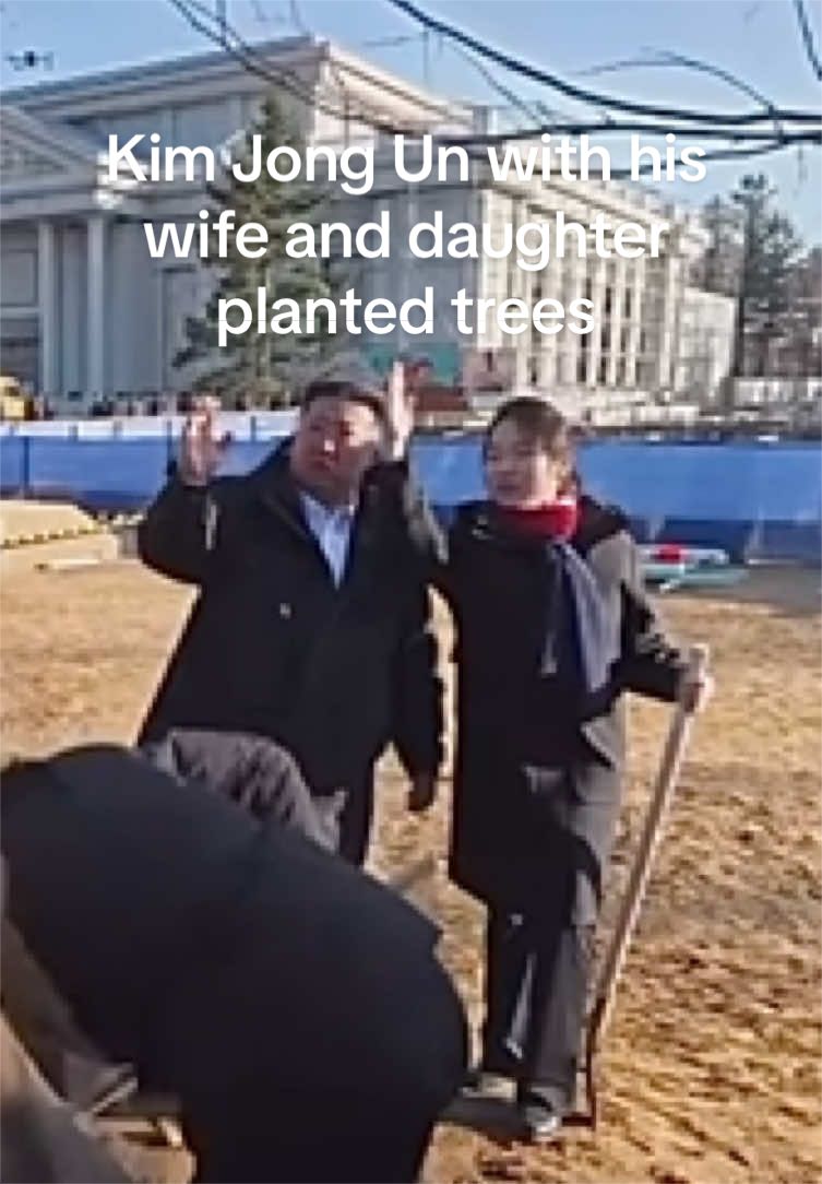 @allicansaylalala
