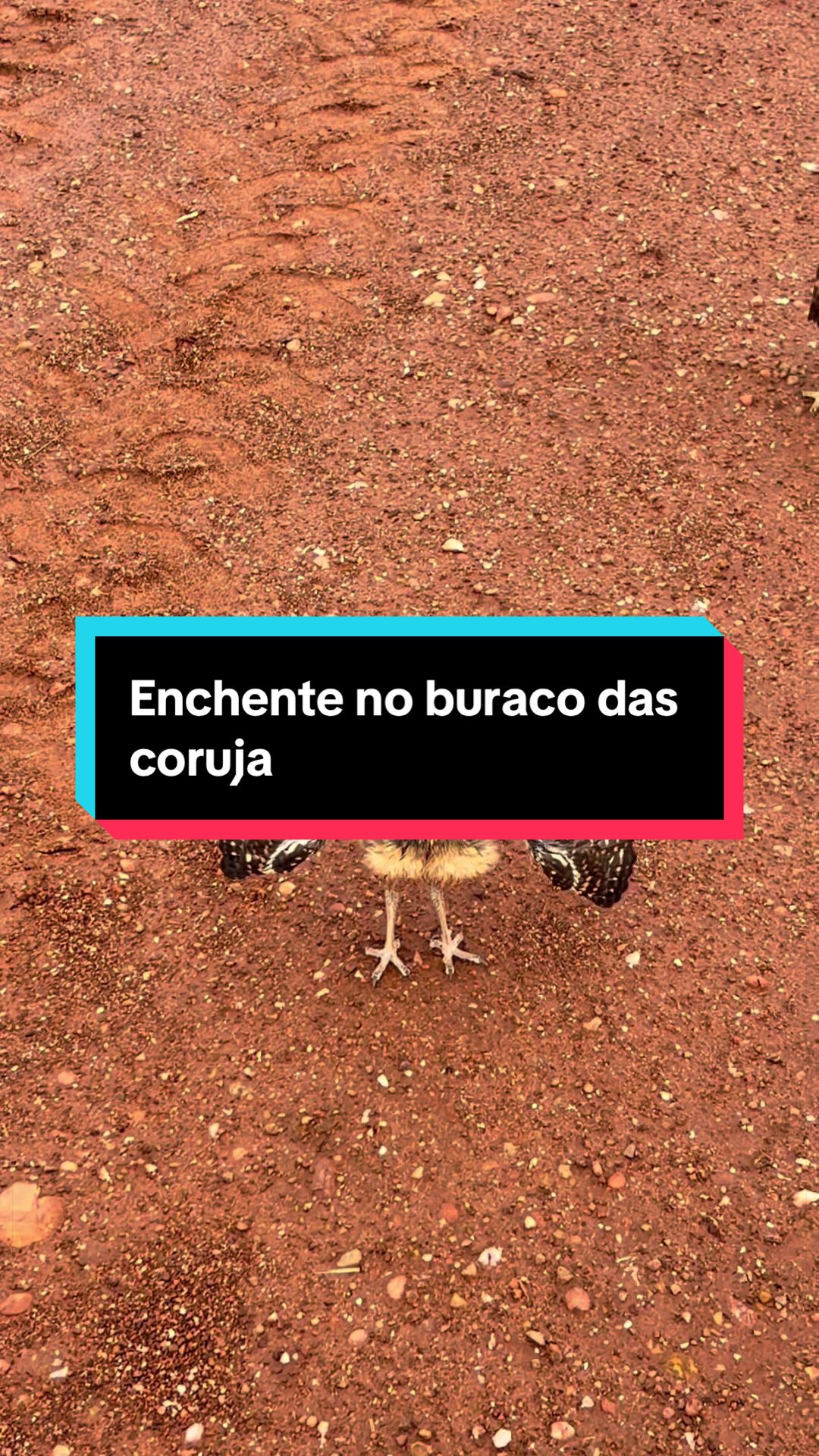 @🍀Santos🚜