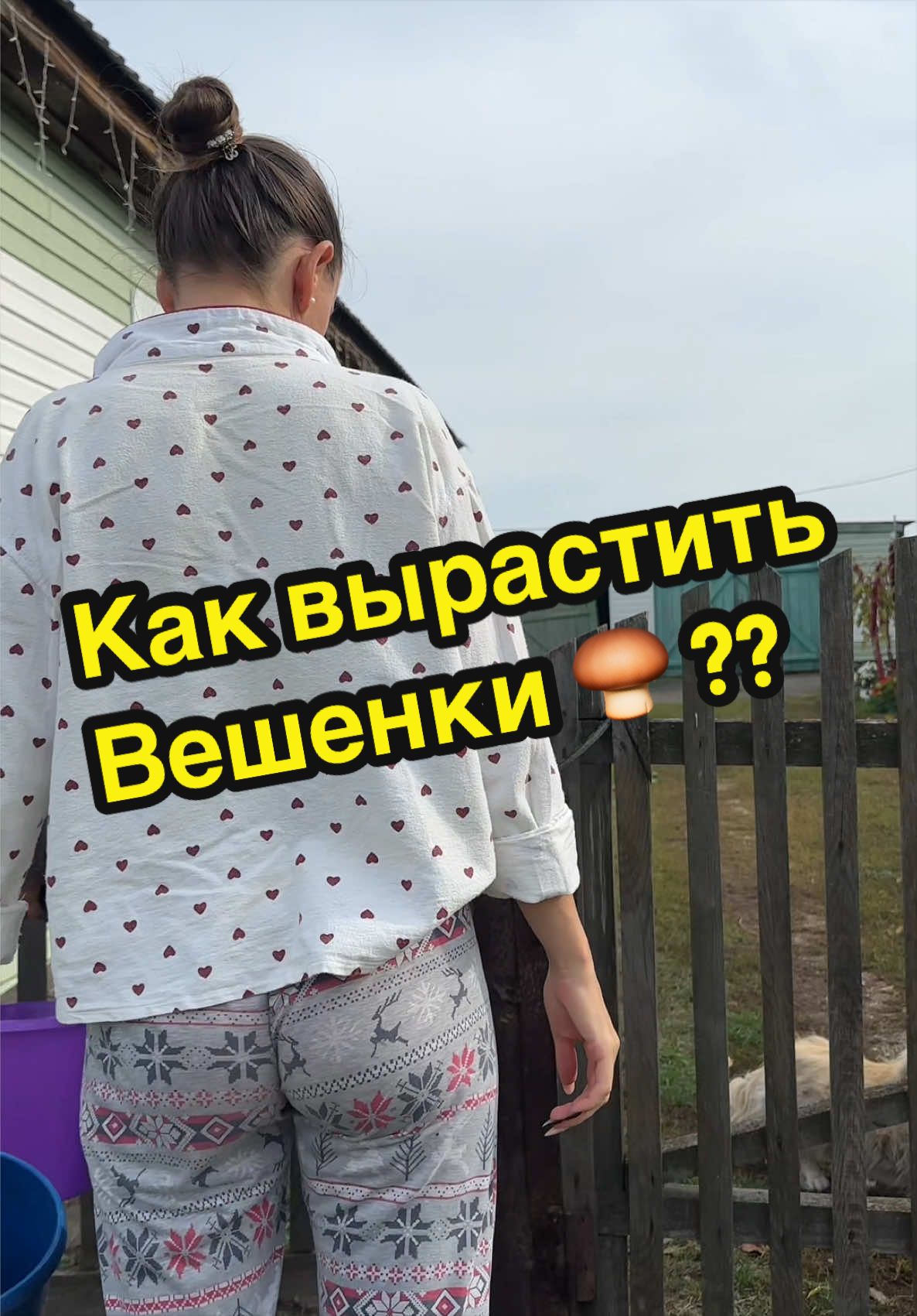 @Elena_altai