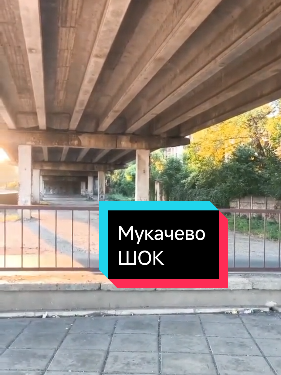@Marinov_off