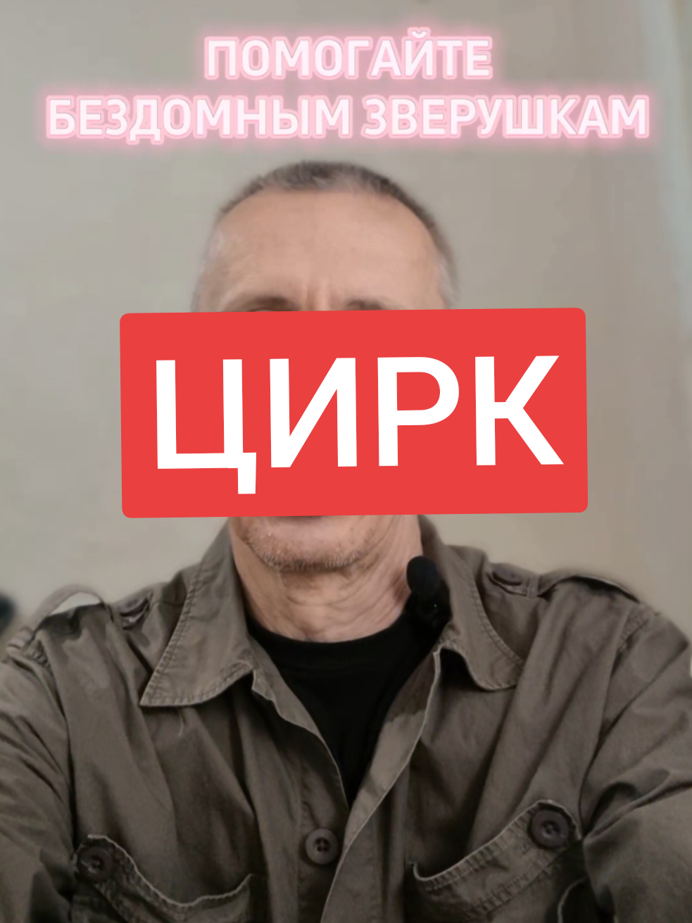 @КОТЫ СОБАКИ И ФИЛОСОФ