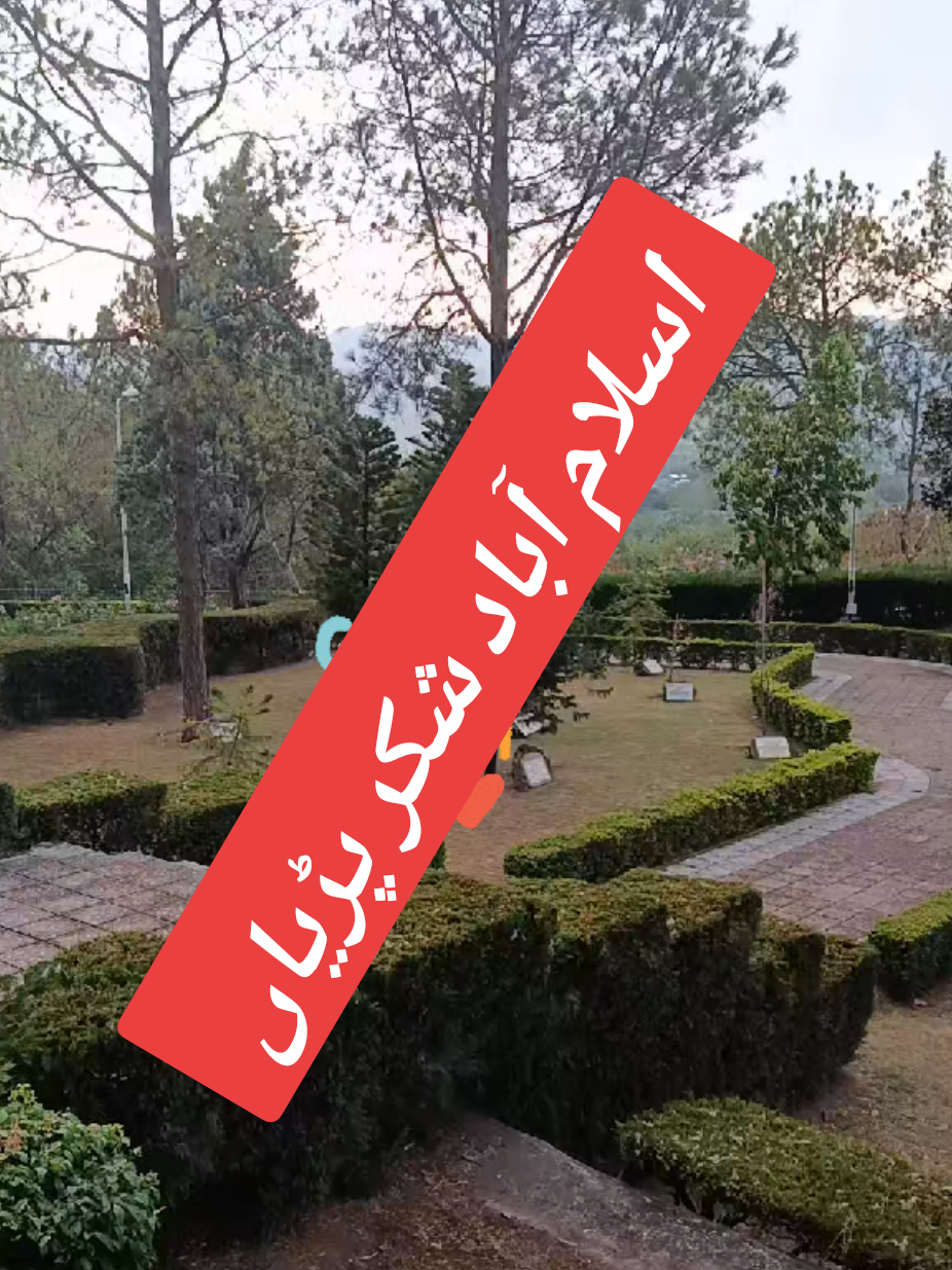 @🌟🇵🇰Gohar_e_Nayab🇵🇰🌟