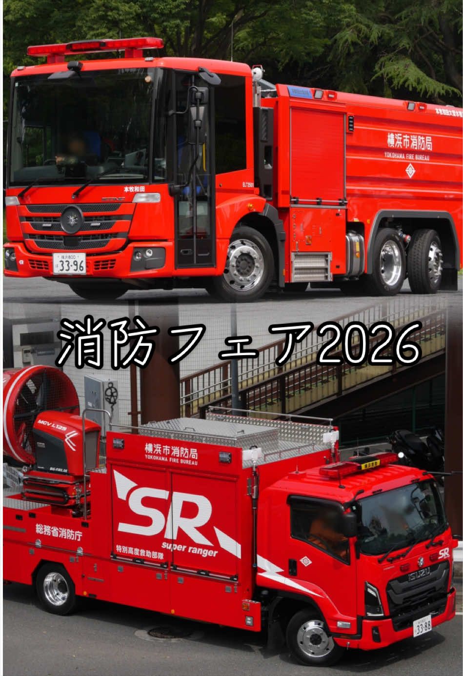 @YOKOHAMA RANGER
