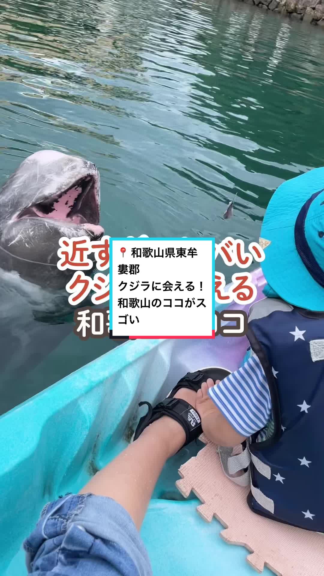 @関西子連れお出かけガイド👨👩👧👦MAPPY