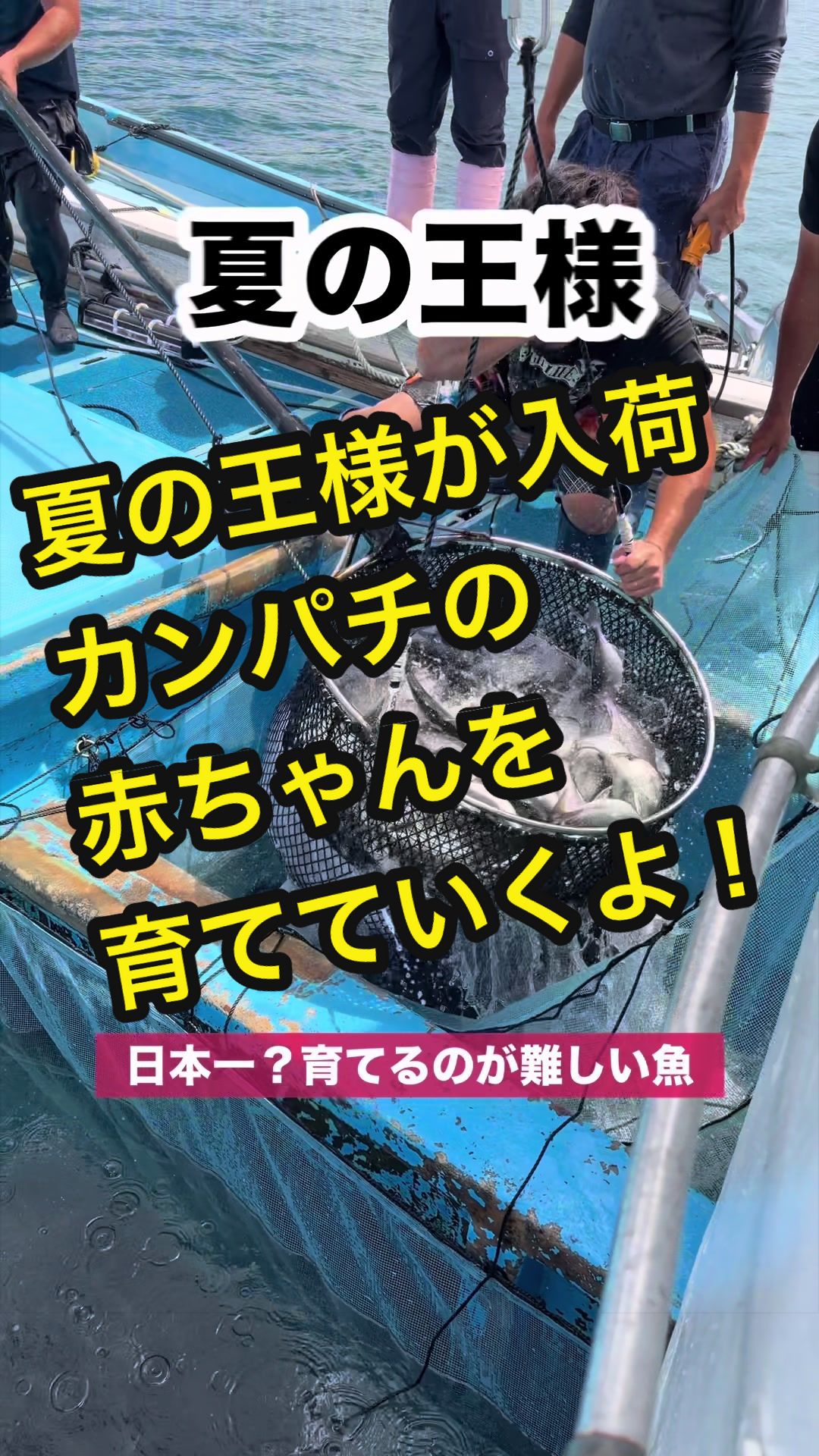 @長崎のイケメン漁師@坂野水産