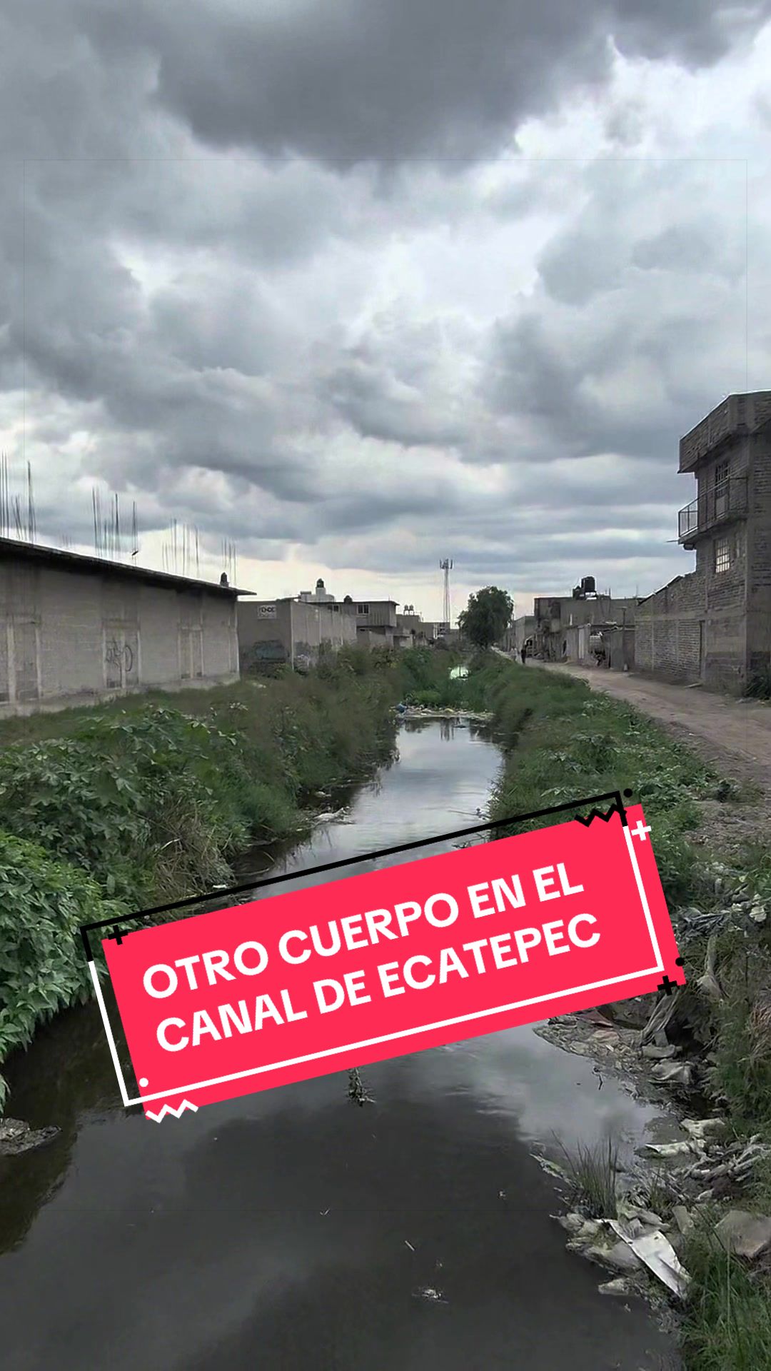 @Diego García