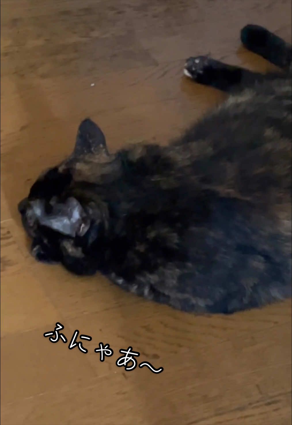 @聴々物語PROJECT