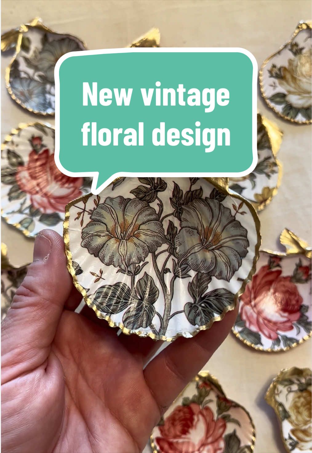 @Dusty J Designs | Shells