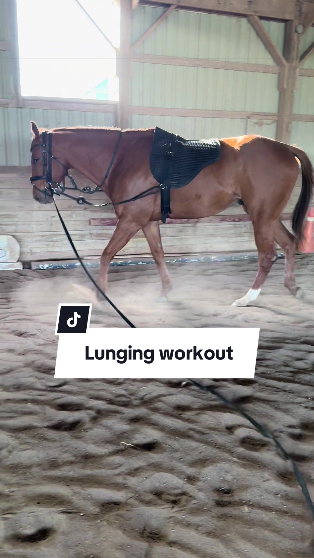 @Karin - Empower Equine app