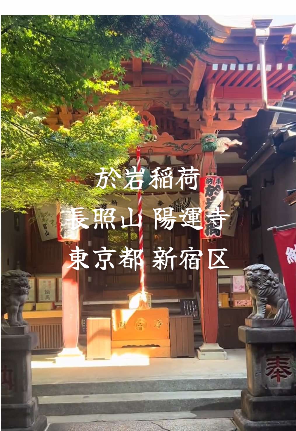 @まもまるも