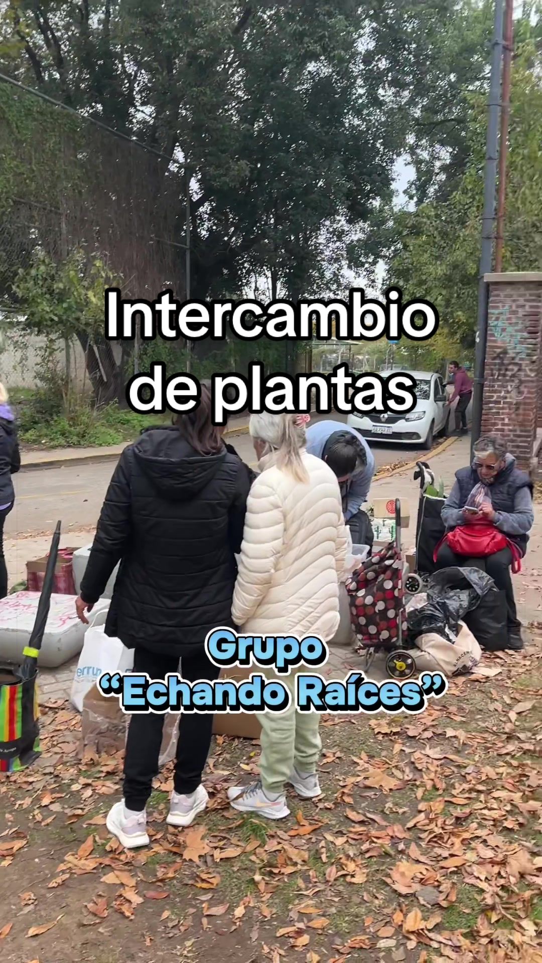@cultivandoando