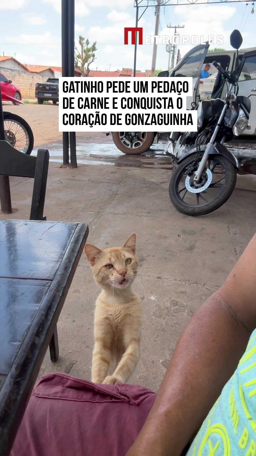 @Metrópoles Oficial