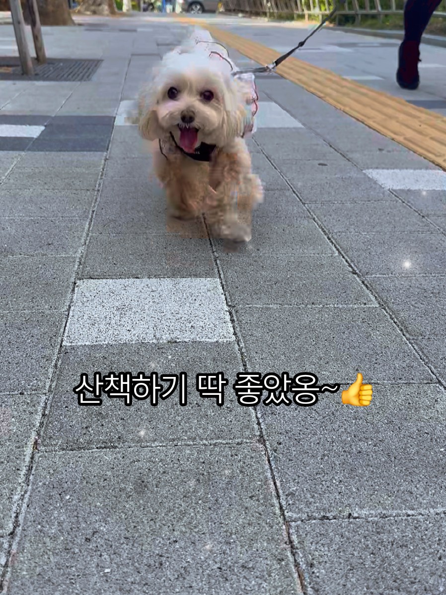 @토리엄마
