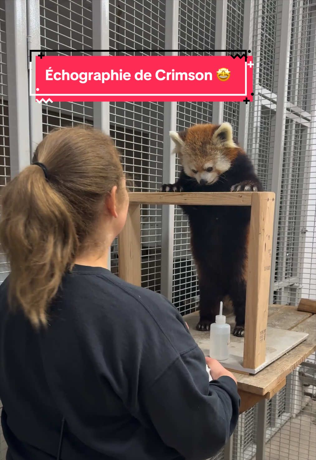@Zoo de Granby