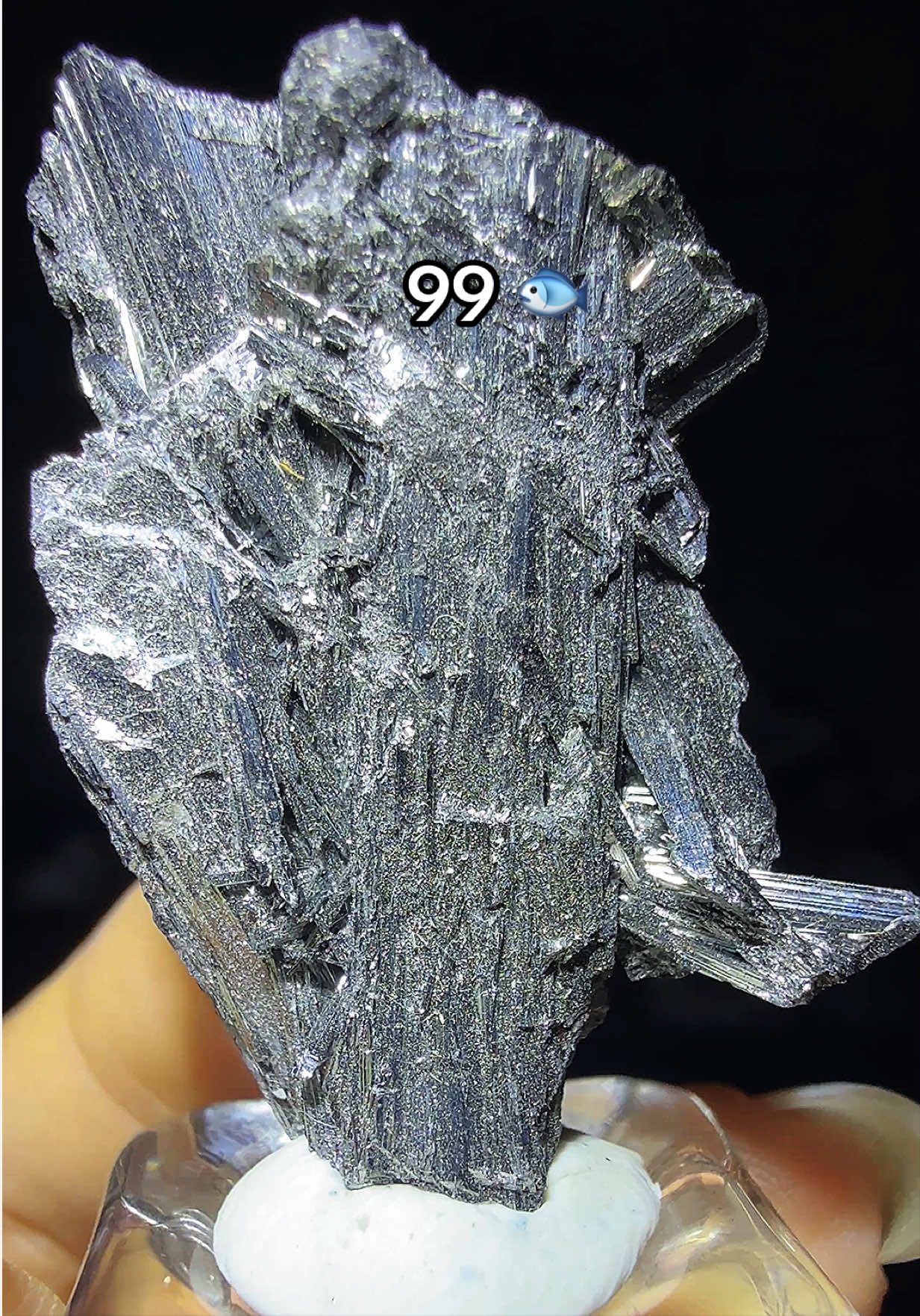 @Halen Crystal