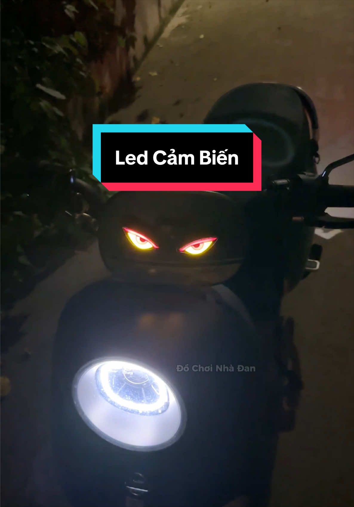 @Đồ Chơi Nhà Đan
