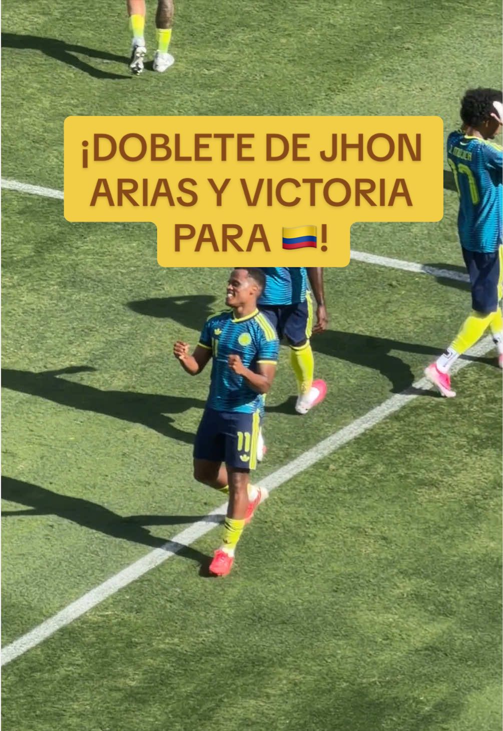 @TJ Sports