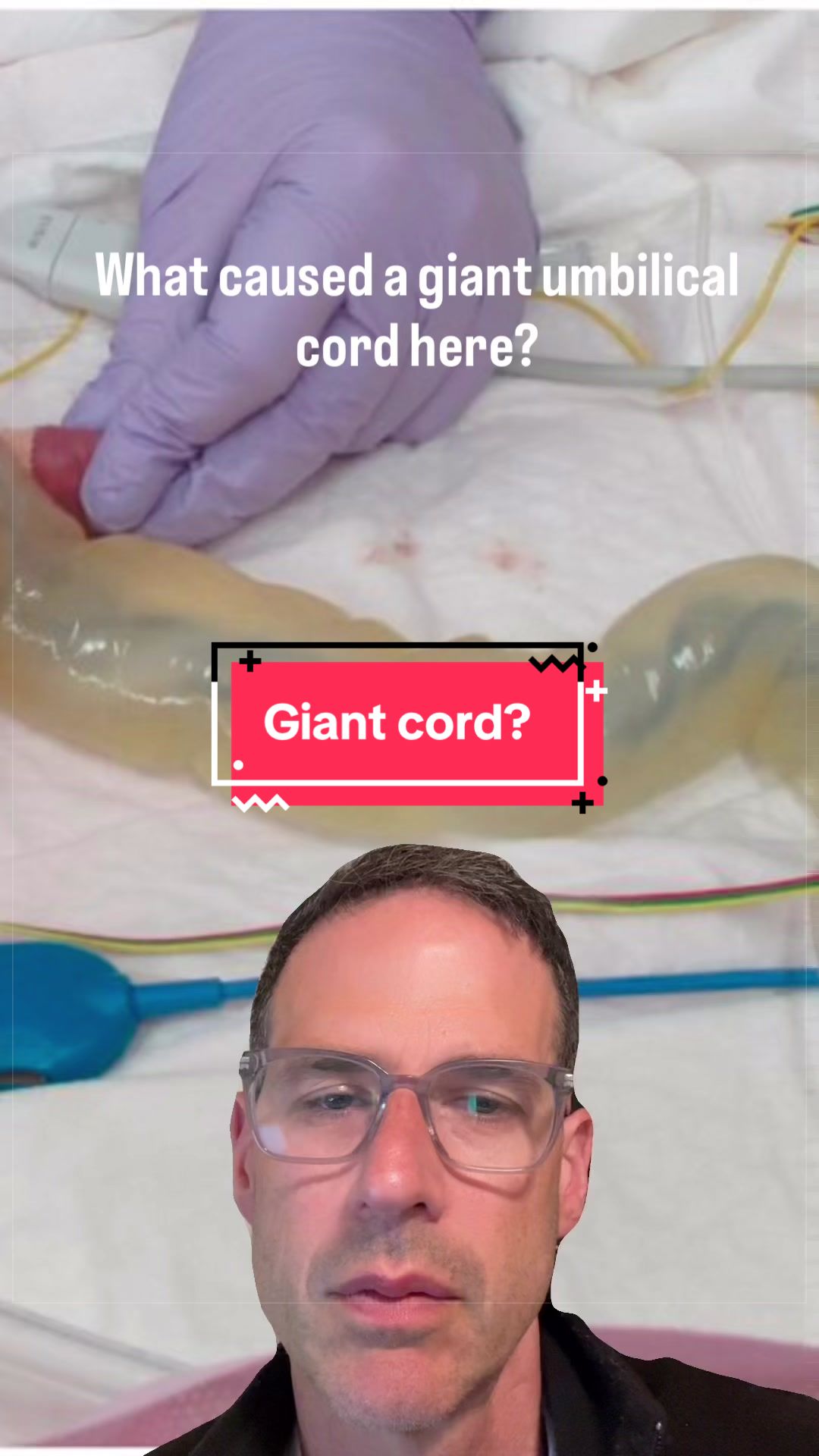 @Dr Michael Narvey 🇨🇦