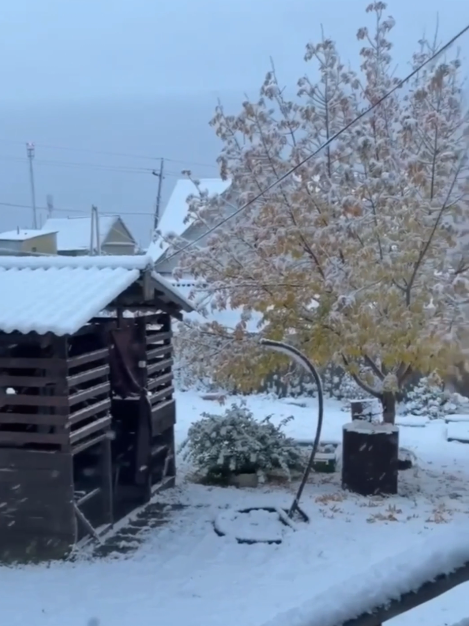 @по жести