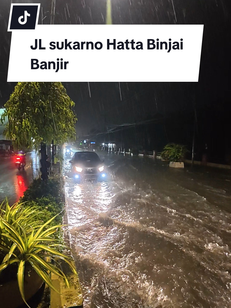@Binjai1872