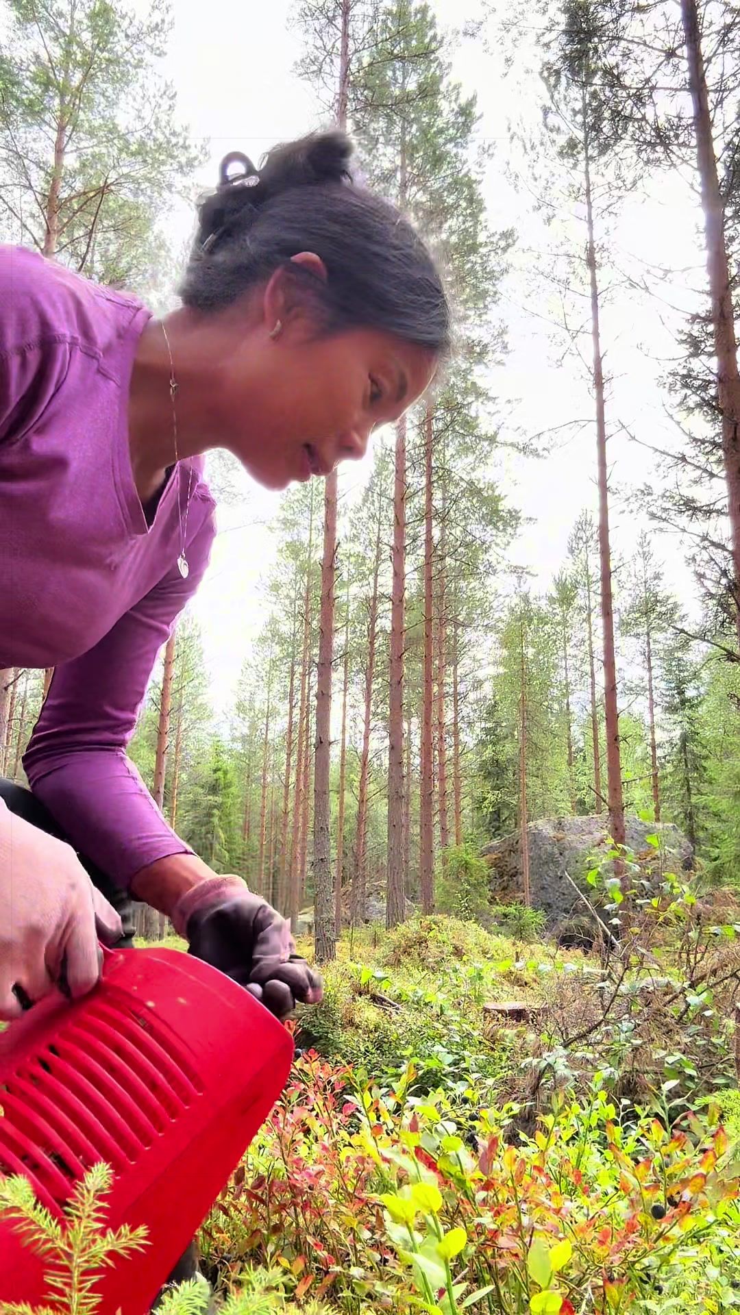 @Phuong Tran 🇻🇳 🇫🇮