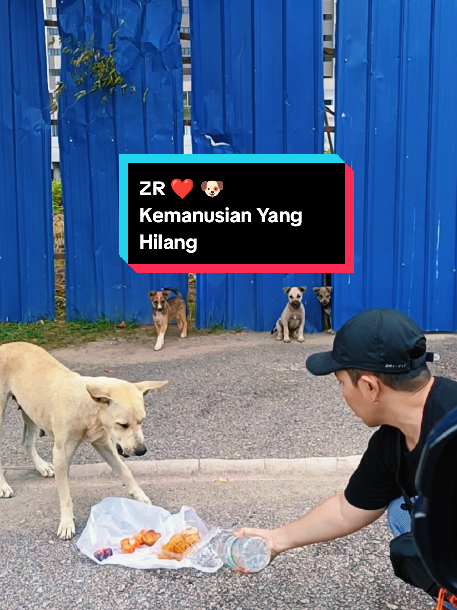 @ZR ๐ฒ๐พ