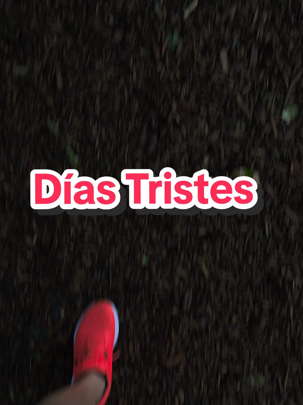 @Kike Sanchis Alonso