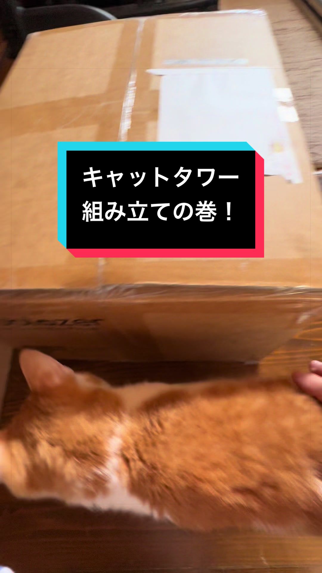 @ブルースカイの倫
