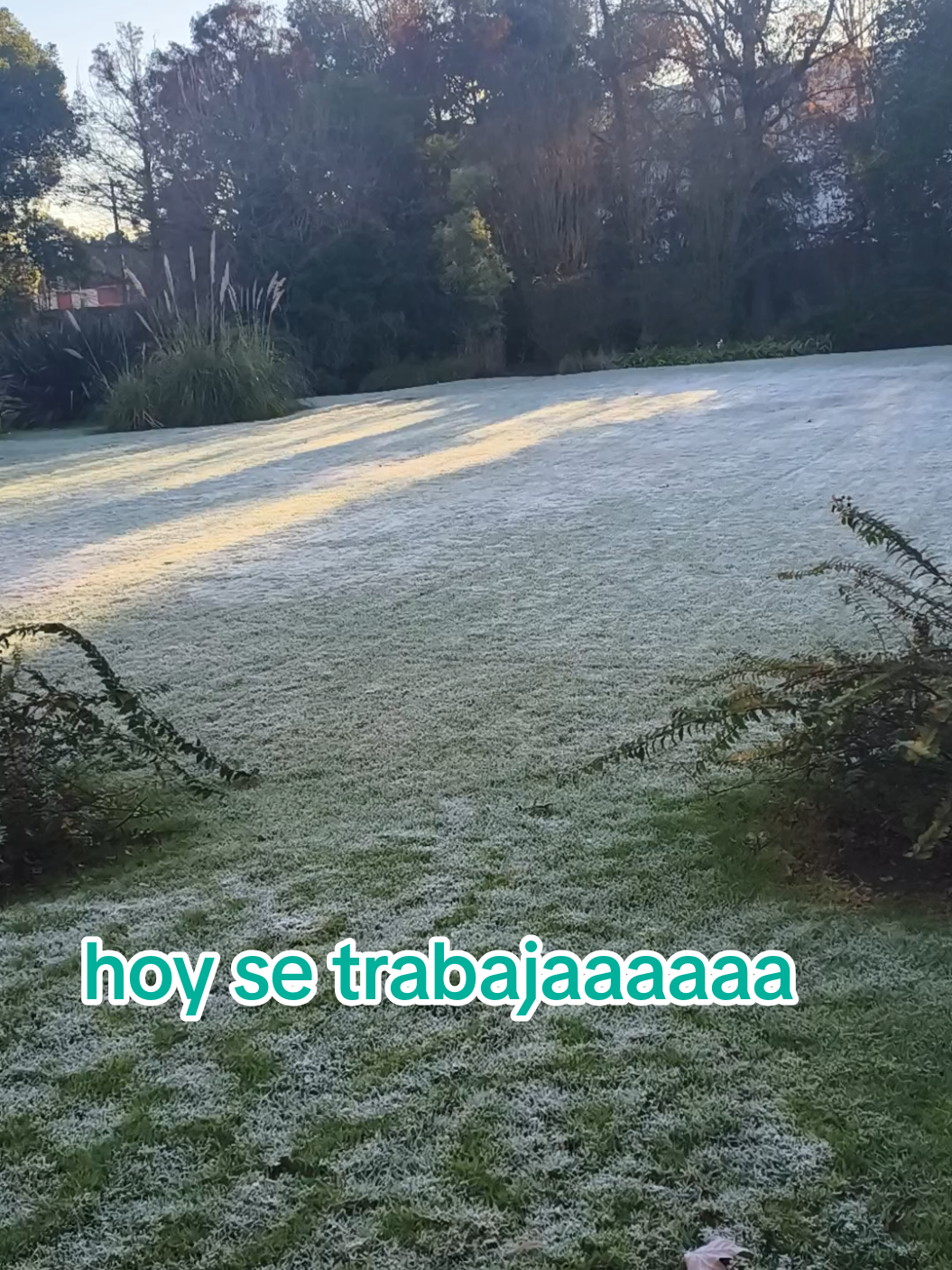 @mabel 1971