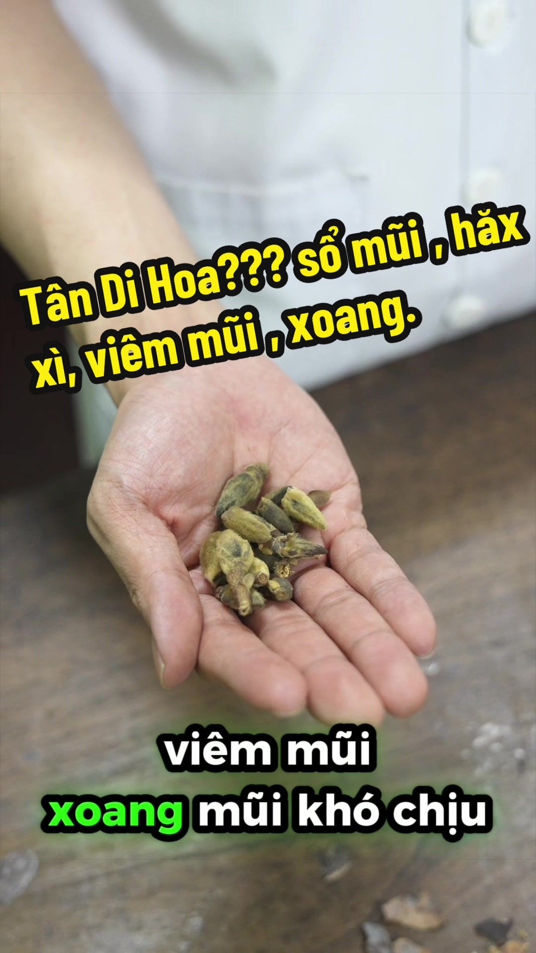 @Hoà Đà