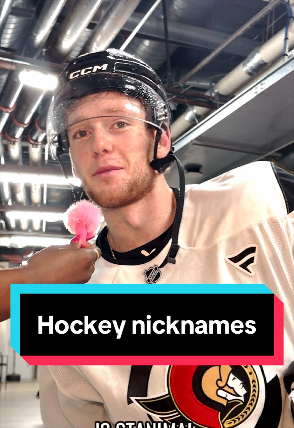 @Ottawa Senators