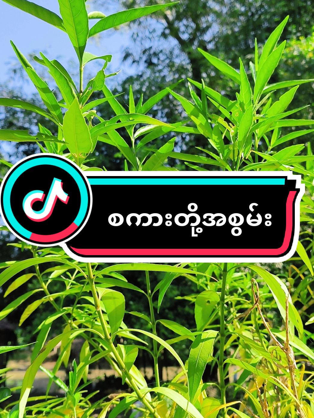 @𝐍𝐚𝐭𝐮𝐫𝐞 & 𝐃𝐡𝐚𝐦𝐦𝐚
