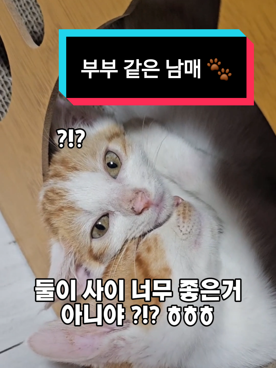 @๐ง๐น๊ผญ์ง์ ํธํ๋๐ชถ๐ง
