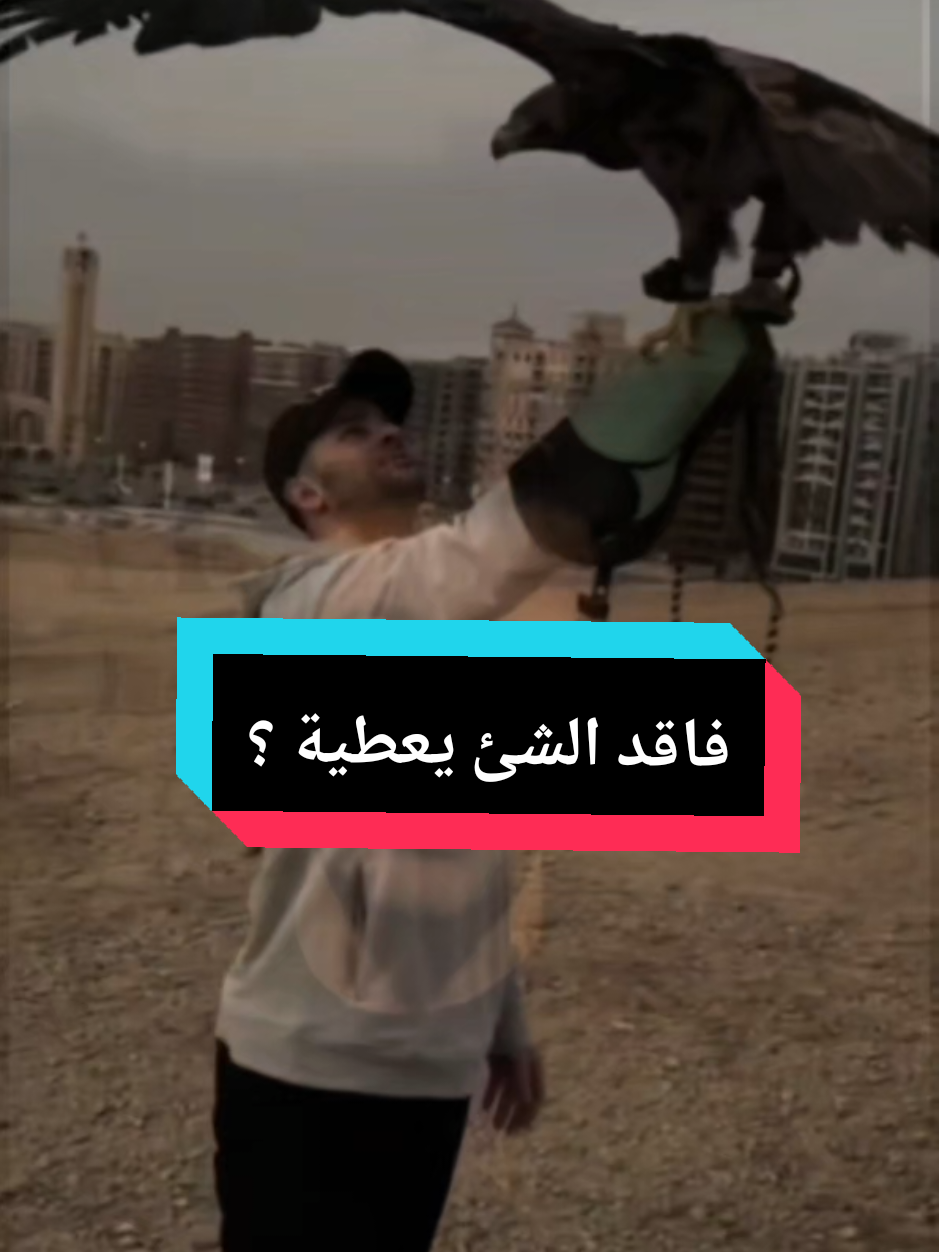 @🧚♀️بنت الجوارح🧚♀️ 🦅EG🦅