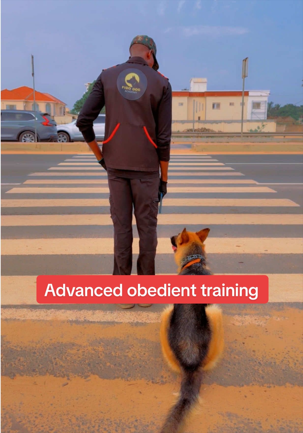 @Dog Master
