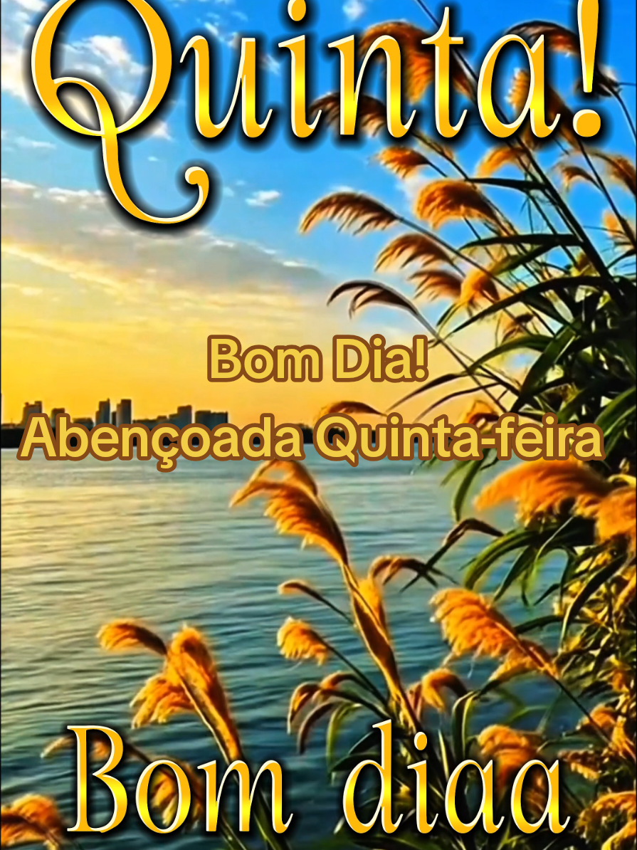 @César A. A. Santos