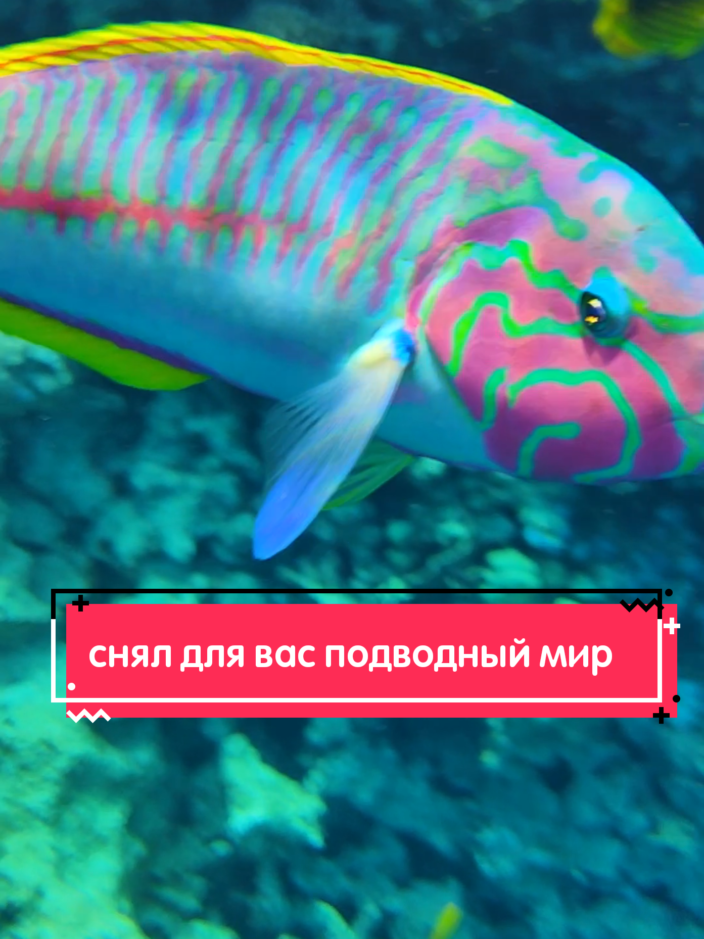 @Дильшат