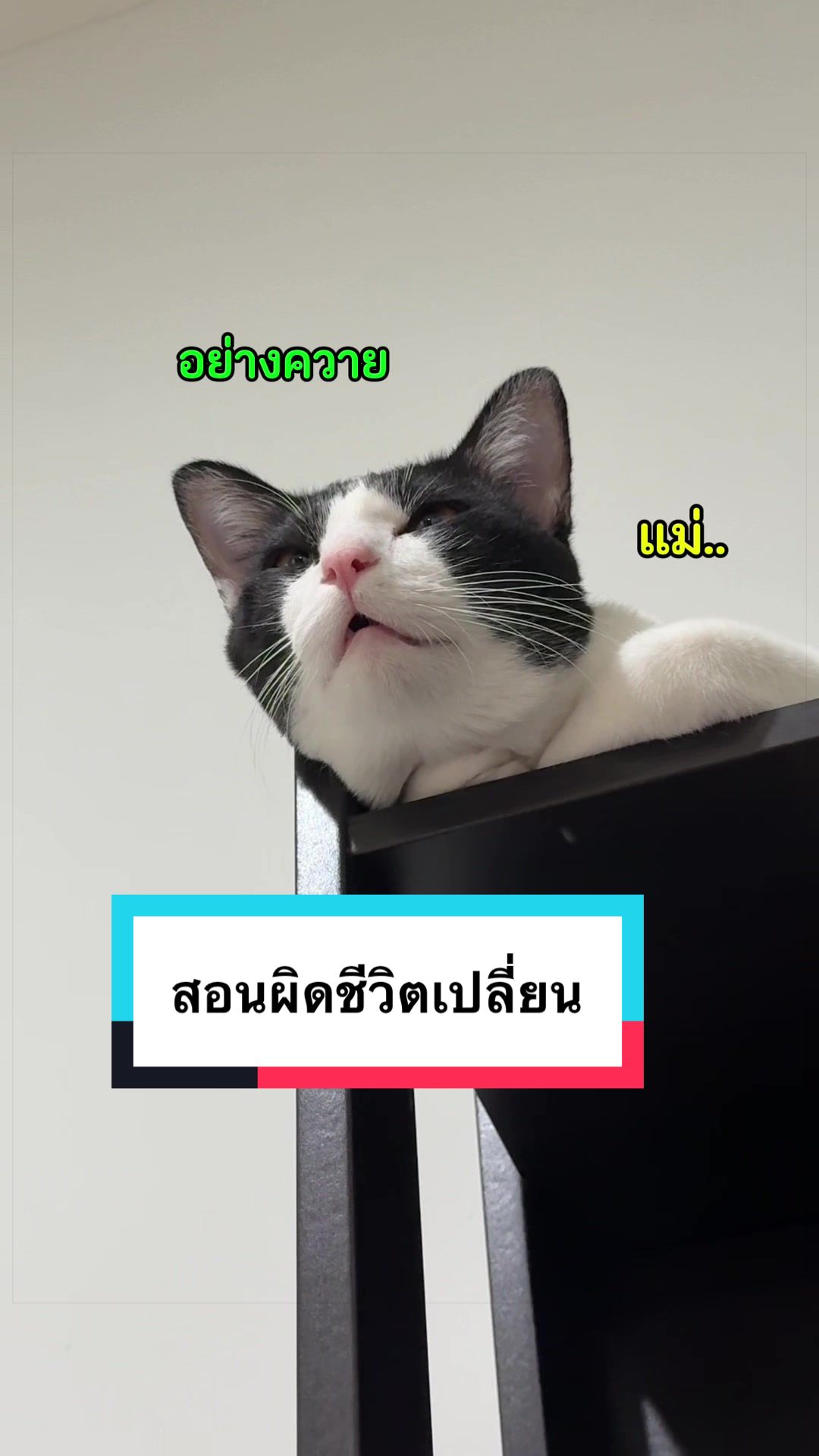 @คิมบับครับผม