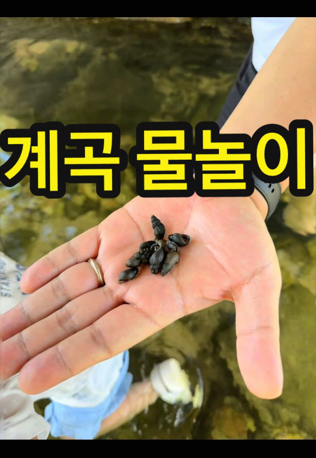 @🍀복맘🍀