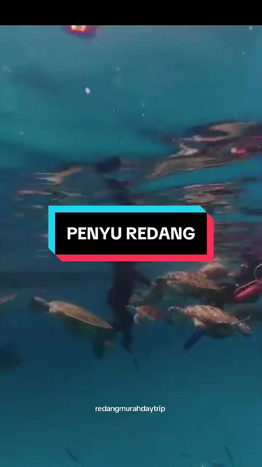 @raapakejpulauganu🤿