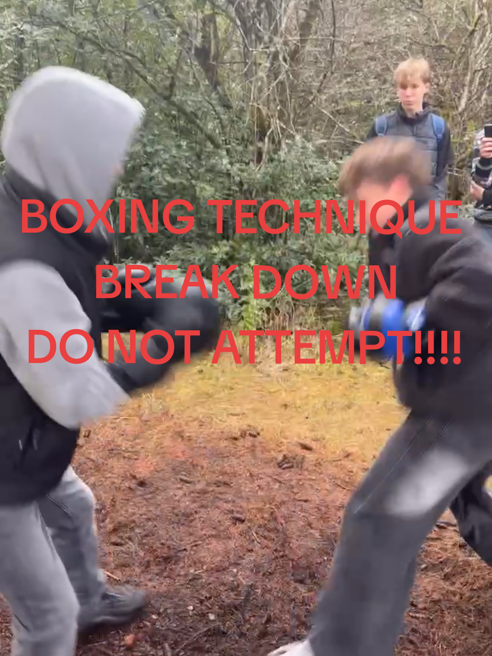 @Logan🥊