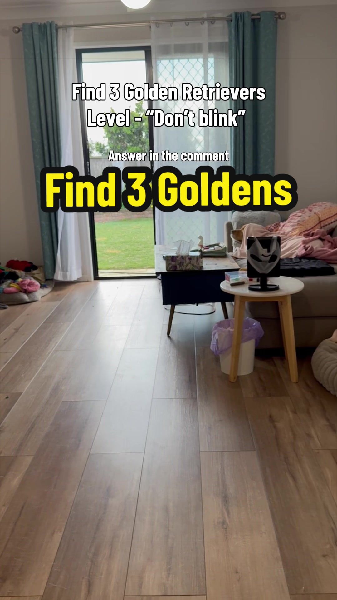@3goldenretriever