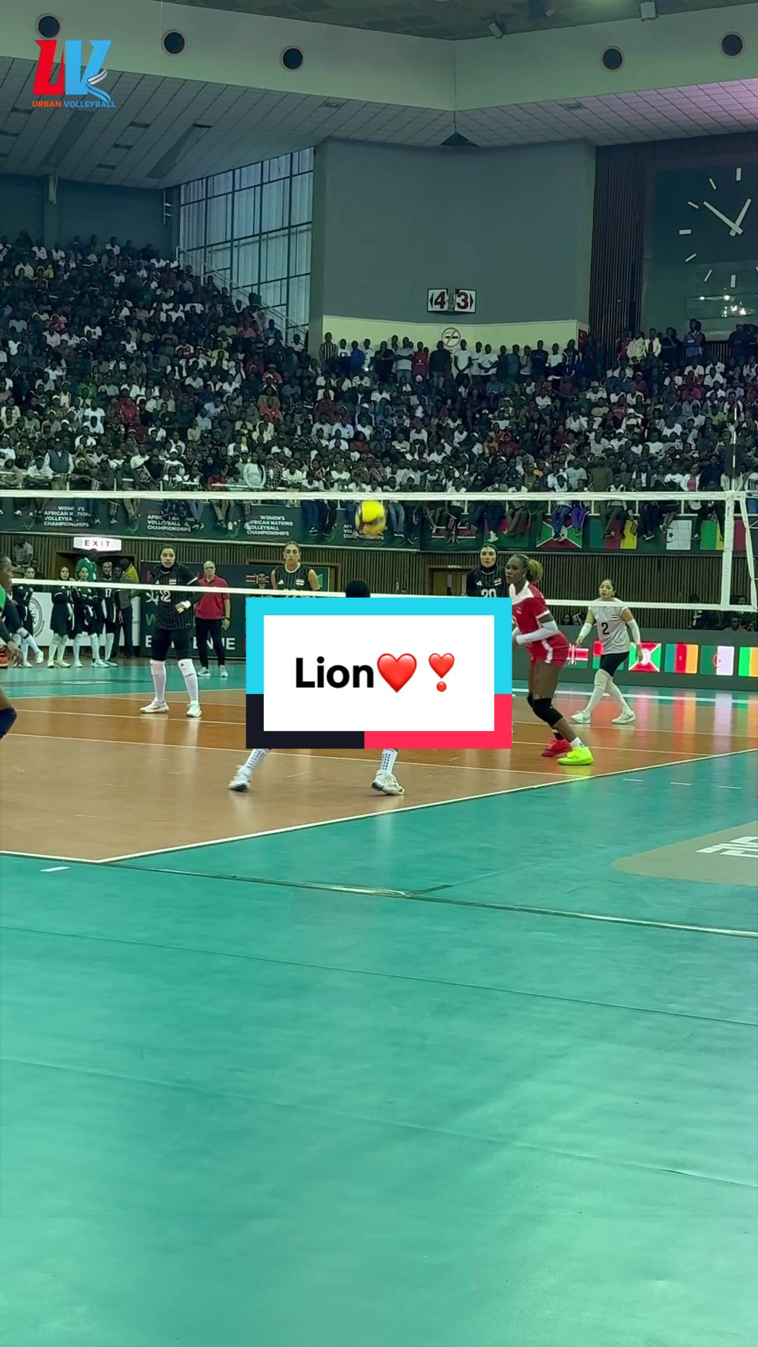 @Urban Volleyball